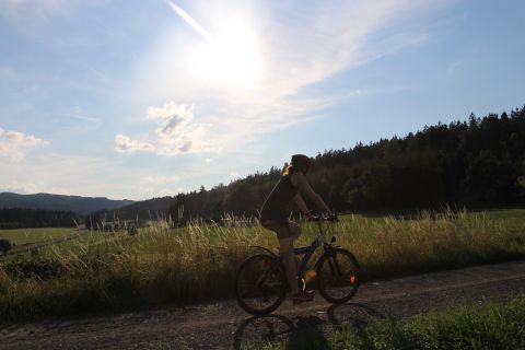 Veranstaltung: Geführte E-Bike Tour Radfahren